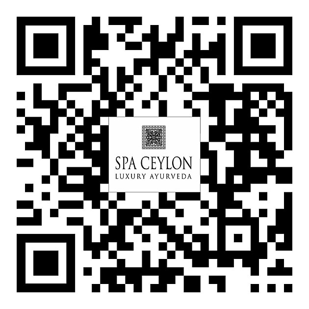 SPA CEYLON: Cesta k rovnov�ze v dob� neust�l�ho tlaku