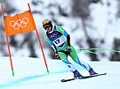Super-G zhatilo olympijský sen také Slovince Ilce �tuhecové. (12. února 2026)
