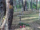 Pravd�podobn� �lo o vojáky 6. gardové Vitebsko-novgorodské mechanizované...