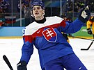 Slovenský úto�ník Dalibor Dvorský slaví trefu proti N�mecku.