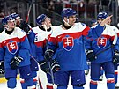 Slovenský úto�ník Samuel Taká� slaví po zápase s Finskem.