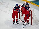 �e�tí hokejisté se radují z postupu na olympijských hrách.