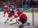 Filip Chlapík (14) b�hem zápasu se �výcarskem (15. února 2026)