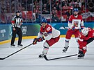 David Pastr�ák (88) v akci b�hem zápasu se �výcarskem. (15. února 2026)