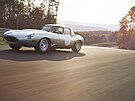 Vlastníci Jaguaru E-Type Lightweight dostali s vozem i homologaci FIA pro...