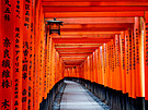 Fu�imi Inari-tai�a. Hlavní �intoistická svatyn� bo�stva Inari v japonském Kjótu...