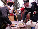 Masopust v obci Herálec na Vyso�in� (15. února 2026)
