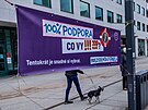 Demonstrace na podporu prezidenta Petra Pavla v Hradci Králové (15. února 2026)