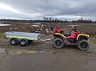 Hasi�i sbírají labut�, které uhynuly na pta�í ch�ipku u �t�rkovi�t� poblí�...