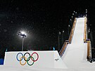 Britka Kirsty Muirová trénuje p�ed finále �en ve freestylovém ly�ování v...