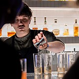 Ve�er pln� chut�, v�n� a hudby