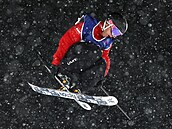 Reprezentant Rakouska Mat�j �vancer b�hem finále Big Airu na zimních...