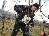 Místem presti�ního Mistrovství �eské republiky v �ezu révy vinné � Memoriálu...