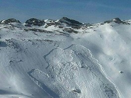 Lavina poblí� Bad Hofgasteinu v Rakousku. (17. ledna 2026)