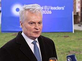 Litevský prezident Gitanas Nauseda hovo�í s médii p�i p�íjezdu na summit EU na...