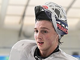 Ve Francii se narodil, z �eska má polovinu rodiny. Hokejový branká� Martin...