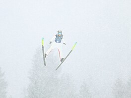 Ji�í Konvalinka z �eské republiky v akci b�hem kvalifika�ního kola skok� na...