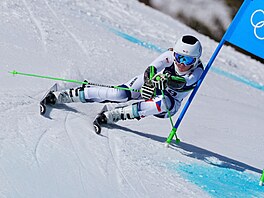 �eská reprezentantka Alena Laba�tová sjí�dí tra� b�hem závodu �en v ob�ím...