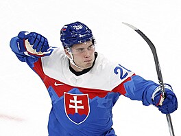 Juraj Slafkovský slaví sv�j gól v utkání s Finskem. (11. února 2026)