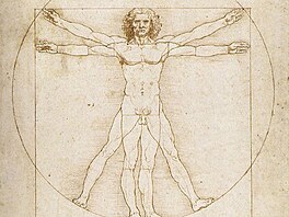 Vitruviánský mu� od Leonarda da Vinciho (13. února 2026)
