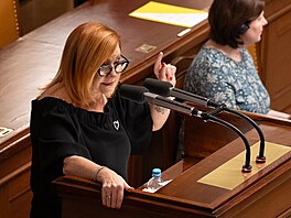 Ministryn� financí Alena Schillerová p�i projednávání vládního návrhu zákona o...