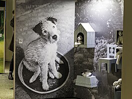 Výstava k 60. výro�í Ve�erní�ku. (únor 2026)