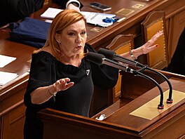 Sch�ze Poslanecké sn�movny. Na snímku ministryn� financí Alena Schillerová...