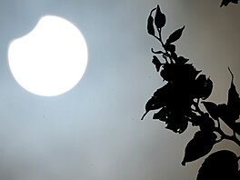 Za�átek prstencového zatm�ní slevovali v úterý 17. února lidé v jihoafrickém...