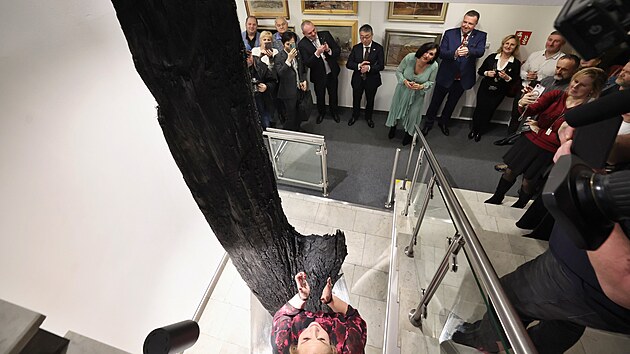 Slavnostn� odhalen� dubov�ho kmene nazvan�ho Eridanus, jeho� st��� p�esahuje 6 500 let, v Muzeu T�ineck�ch �elez�ren a m�sta T�ince. (17. �nor 2026)