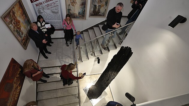 Slavnostn� odhalen� dubov�ho kmene nazvan�ho Eridanus, jeho� st��� p�esahuje 6 500 let, v Muzeu T�ineck�ch �elez�ren a m�sta T�ince. (17. �nor 2026)