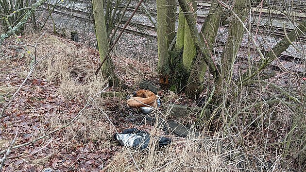 Zubo�en� ro�n� �t�n� bylo p�iv�zan� k betonov�mu bloku na opu�t�n�m m�st� v Podbo�anech.