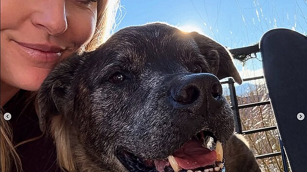 Lindsey Vonnov� se na soci�ln�ch s�t�ch sv��ila se smutnou zpr�vou. Kr�tce po v�n�m p�du p�i�la o sv�ho dlouholet�ho ps�ho par��ka Lea, kter� j� byl oporou t�in�ct let.