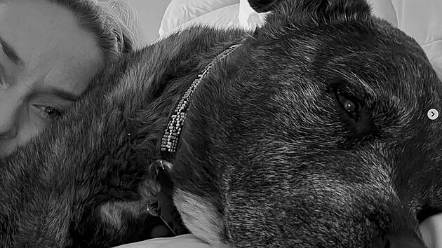 Lindsey Vonnov� se na soci�ln�ch s�t�ch sv��ila se smutnou zpr�vou. Kr�tce po v�n�m p�du p�i�la o sv�ho dlouholet�ho ps�ho par��ka Lea, kter� j� byl oporou t�in�ct let.