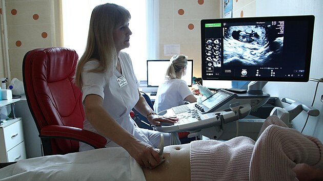 T�hotná �ena na gynekologické prohlídce v Moskv� (20. ledna 2020)