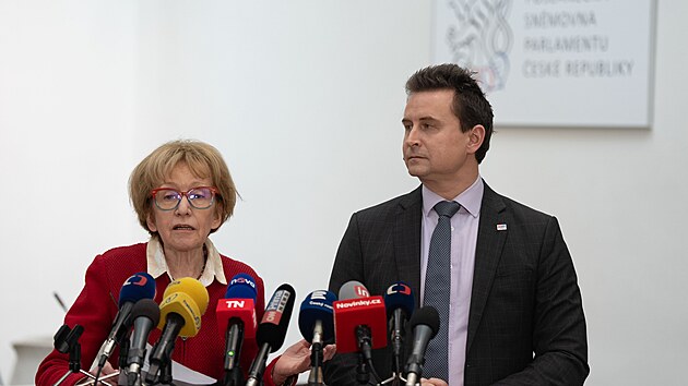 Helena V�lkov� z ANO Michal Zuna z TOP 09 po jedn�n� mand�tov�ho a imunitn�ho v�boru Sn�movny (17. �nora 2026)