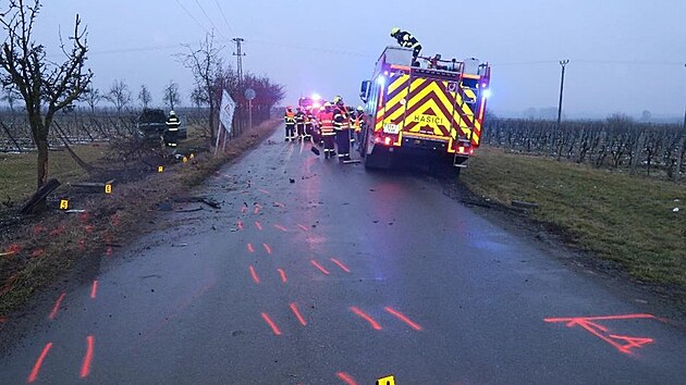 T�iapades�tilet� �idi� pod vlivem alkoholu skon�il na B�eclavsku se sv�m autem ve vinohradu.