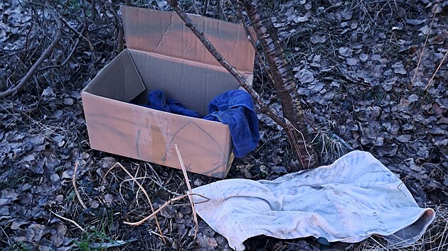 P�vodn� majitel nechal fenku s �erstv� narozen�mi �t��aty u lesa napospas osudu. (16. �nora 2026)