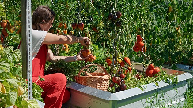 Prima TV, Zahradnice po ruce, Lenka Eywa, sob�sta�nost, p�stov�n�, j�dlo