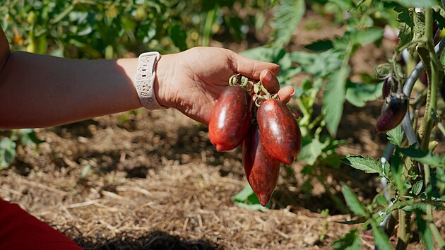 Prima TV, Zahradnice po ruce, Lenka Eywa, sob�sta�nost, p�stov�n�, j�dlo