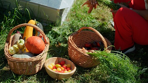 Prima TV, Zahradnice po ruce, Lenka Eywa, sob�sta�nost, p�stov�n�, j�dlo