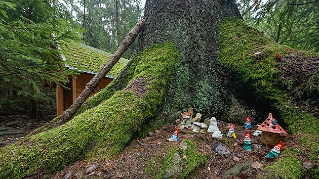 Pokud jste si zapomn�li s sebou vz�t vodu, nemus�te smutnit, proto�e trasa proch�z� kolem mnoha udr�ovan�ch stud�nek.