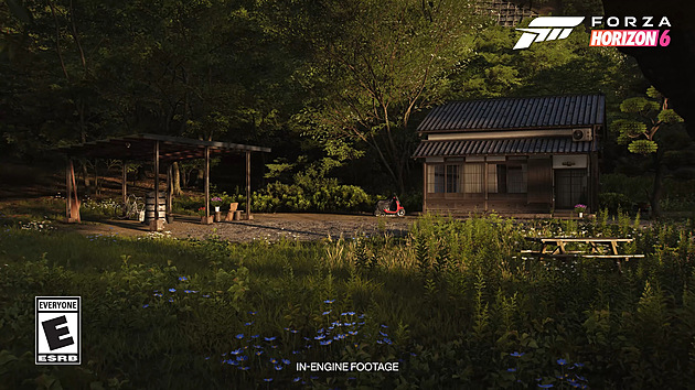 Forza Horizon 6