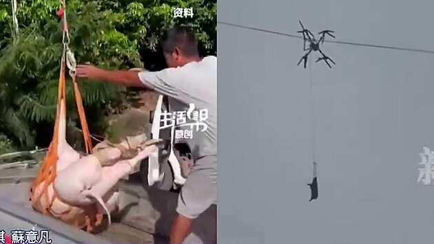 Prase na dronu zp�sobilo v �ín� blackout