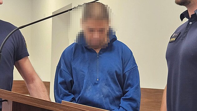 P�ed ostravsk�m soudem stanul Tom� S. kv�li surov� vra�d� t��let�ho chlapce.