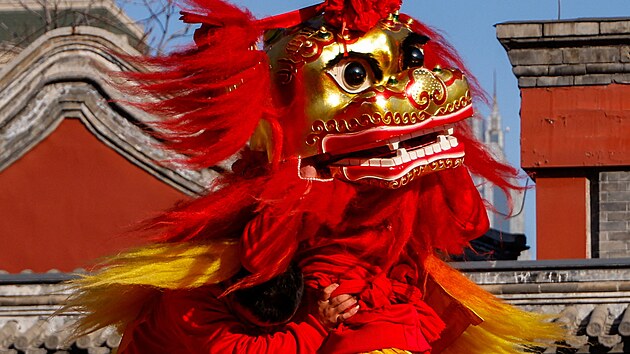 Tane�n�ci v kost�mech p�edv�d�j� lv� tanec na oslav�ch za��tku lun�rn�ho roku p�ed taoistick�m chr�mem Dongyue v Pekingu. (17. �nora 2026)