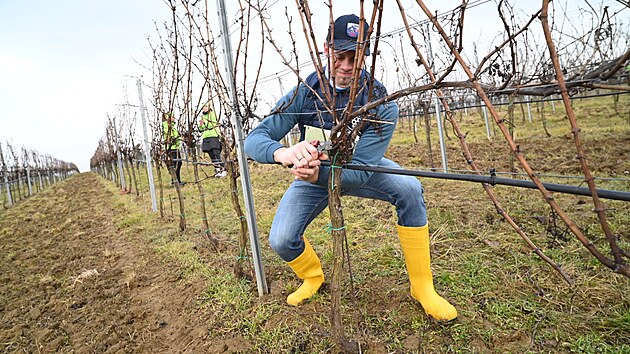 M�stem presti�n�ho Mistrovstv� �esk� republiky v �ezu r�vy vinn� � Memori�lu Jana Hajdy se v leto�n�m 21. ro�n�ku staly vinice ve Slov�ck� vina�sk� podoblasti v obci Skalka na Kyjovsku. Sout� p�il�kala 71 nejlep��ch �eza�� z cel� republiky. (�nor 2026)