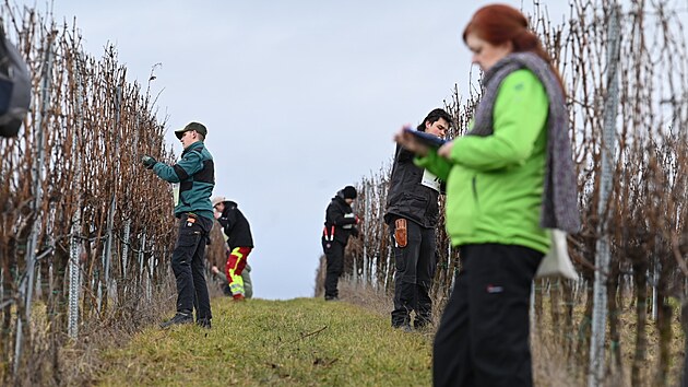 M�stem presti�n�ho Mistrovstv� �esk� republiky v �ezu r�vy vinn� � Memori�lu Jana Hajdy se v leto�n�m 21. ro�n�ku staly vinice ve Slov�ck� vina�sk� podoblasti v obci Skalka na Kyjovsku. Sout� p�il�kala 71 nejlep��ch �eza�� z cel� republiky. (�nor 2026)