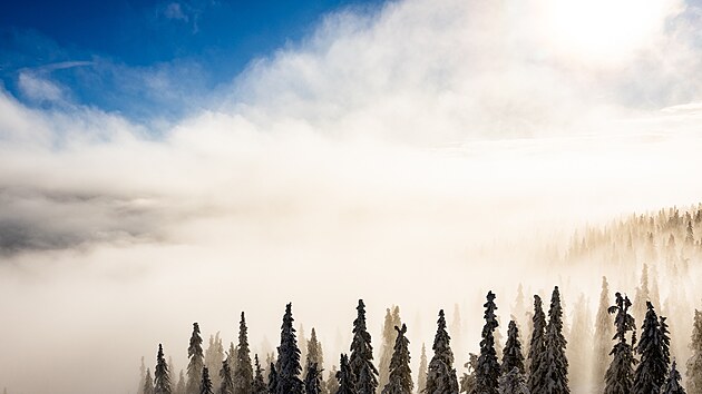 Zasn�en� les cestou na Sn�ku (9. �nora 2026)