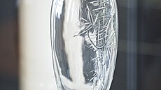 Muzeum v TurnovÄ� připomene dva významn�© rodáky, výtvarn�­ky Kot�­ka a Nováka