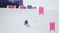 �védský freestylový ly�a� Elis Lundholm v kvalifika�ní jízd� olympijského...